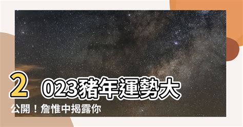 雞年運程2023|【雞】詹惟中 2023 生肖整體運勢：事業、愛情、財富、健康 完整。